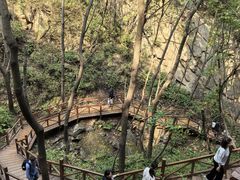-大岭沟猕猴桃谷风景区
