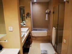 -电谷雅阁国际大酒店