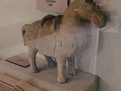 -北京动物园-畅观楼