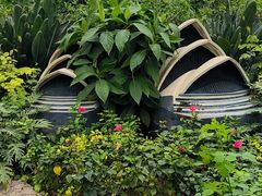 -南宫五洲植物乐园