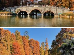 -中国科学院华南植物园