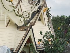 -疯狂屋