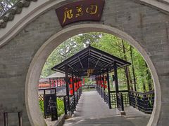 -侨美·唐荔园·40年地道粤菜