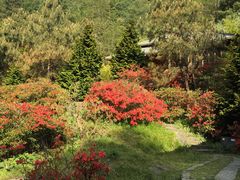 -苍山感通索道