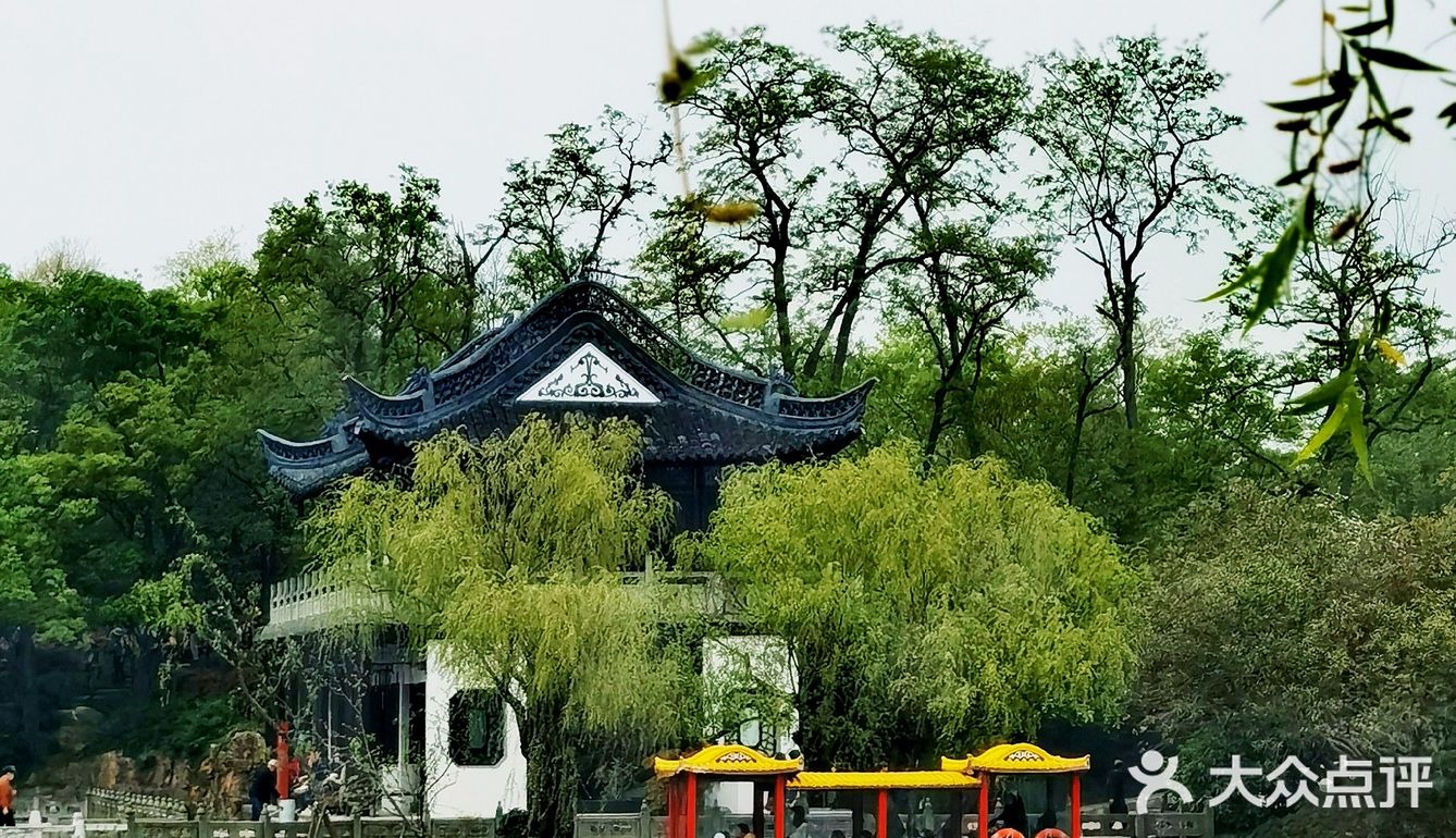 扬州这副画好美，自然之美展现华夏民族魅力！🌿🍀