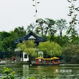 扬州这副画好美，自然之美展现华夏民族魅力！🌿🍀