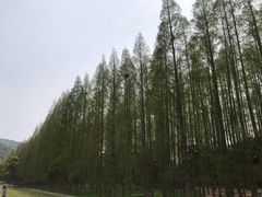 -南京金牛湖风景区