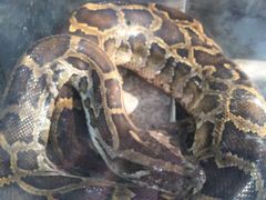 -广东茂名森林公园