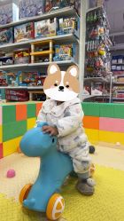 -贝贝熊(无锡长江绿岛店)