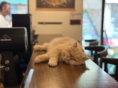-Double cafe