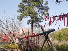 -茅山肴·道家菜·神仙鸡