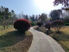 -南阳建业森林半岛假日酒店