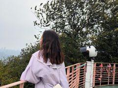 -茶颜悦色(岳麓山顶店)