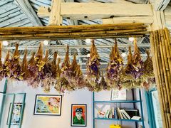 -喵屿·大理花园猫咖