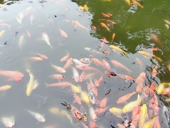 -成都动物园