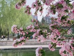 -元大都城垣遗址公园