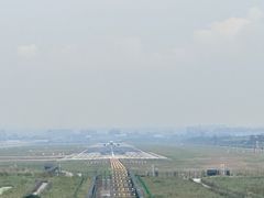 -空港花田景区