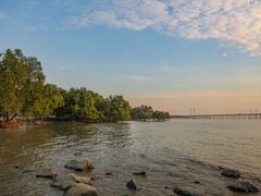 -宝安西湾红树林湿地公园