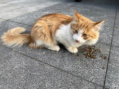 -水沐汇洗浴广场(香檀一号店)