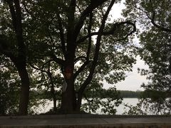 -东湖落雁景区