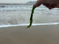 -朱家尖南沙景点