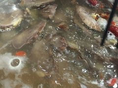 牛肉IMG_4463-粤潮牛肉火锅店(江南大道店)