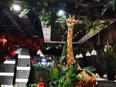 -南美豹国际自助百汇(万象城店)