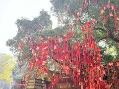 -国恩寺