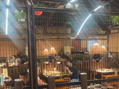 -哥老官重庆美蛙鱼头(圆融广场店)