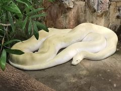 -上海大自然野生昆虫馆