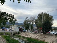 -苏家坨柳林村二月兰花海