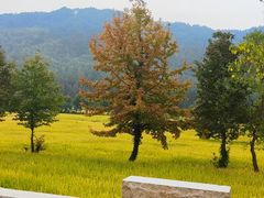 -塔川景区