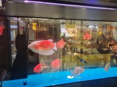 -钳小厨疯味1987肉蟹煲(美一城广场店)