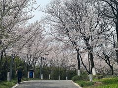 -南京四方酒店-傲途格精选·椽宫中餐厅