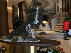 -松鹤楼(狮山永利广场店)