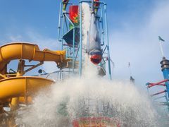 -苏州乐园森林水世界