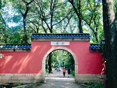-灵谷景区