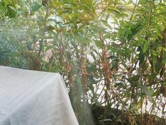-春暖花开(西溪店)
