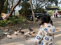 -韶关经律论国际酒店温泉