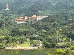 -深圳仙湖植物园