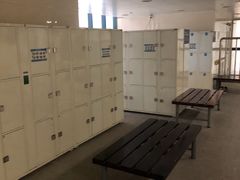 -奥林匹克体育中心游泳馆