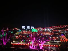 -枇杷园食为鲜火锅(南山店)