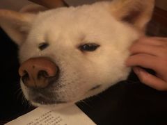 -剧灵社·剧本杀半沉浸式推理探案馆(世纪商务大厦店)