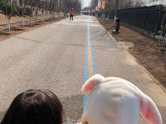 -永定河休闲森林公园