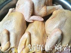 -15年老字号鑫鑫猪肚鸡·椰子鸡海南火锅(兴隆华侨农场店)