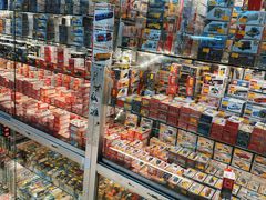 -鸿兴玩具