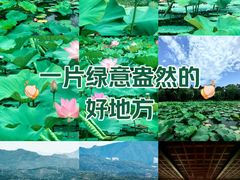 -承德避暑山庄景区