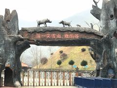 -浙东第一尖雪山欢乐谷