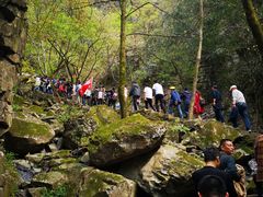 -藏龙百瀑风景区