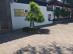 -嘉定紫藤园